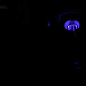 Meet your Posher, Harmony